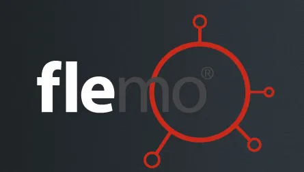 Flemo – AUDI (2011/12)