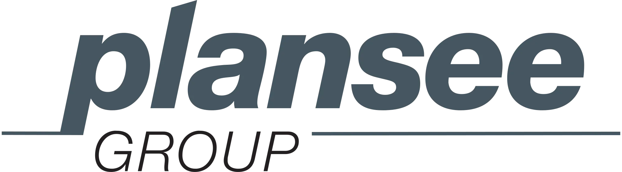 Plansee Group logo